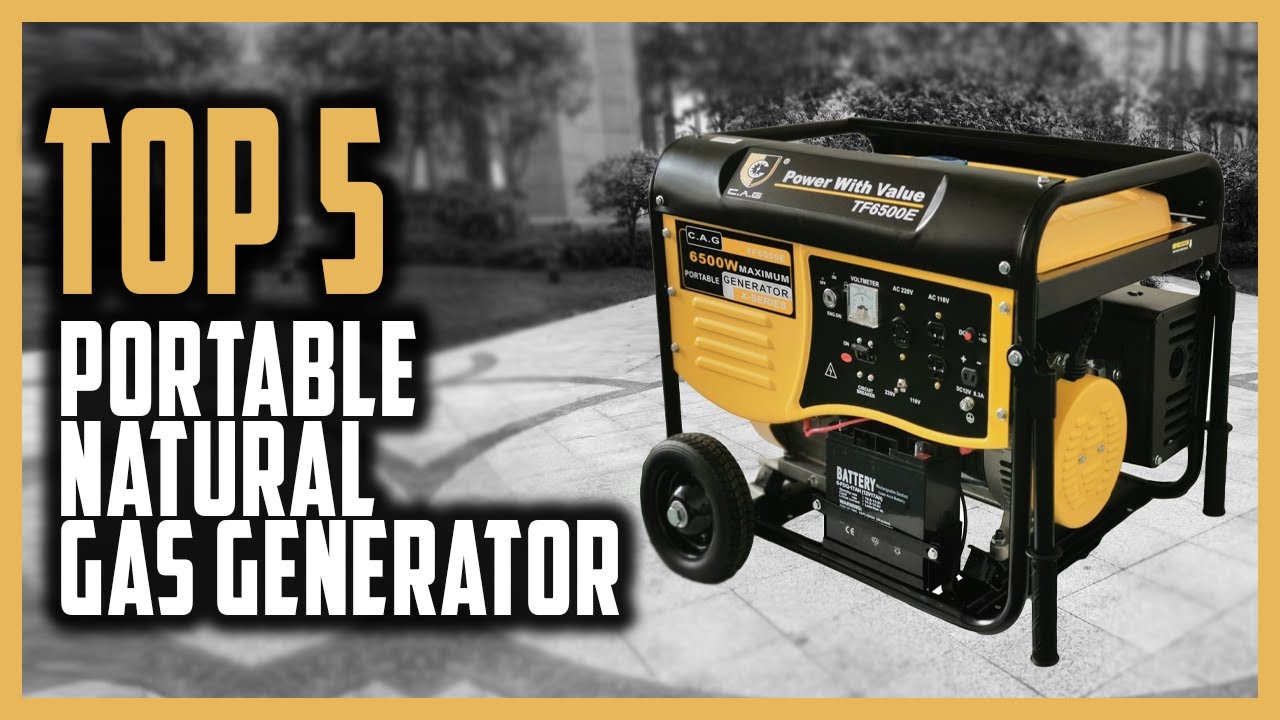 Best Portable Natural Gas Generator in 2021 Top 5 Portable Natural Gas Generators For Home Use